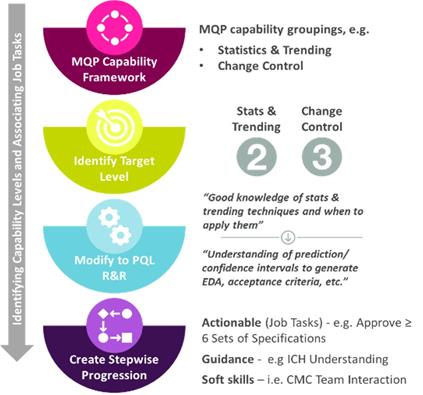 MQP Level Development and Progression Plan