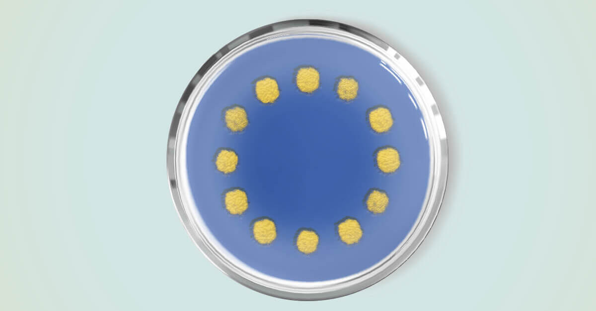 A digital illustration of a petri dish or scratch plate containing dark blue media with a ring of yellow growths  to imitate the European Union flag, against a light green and yellow background