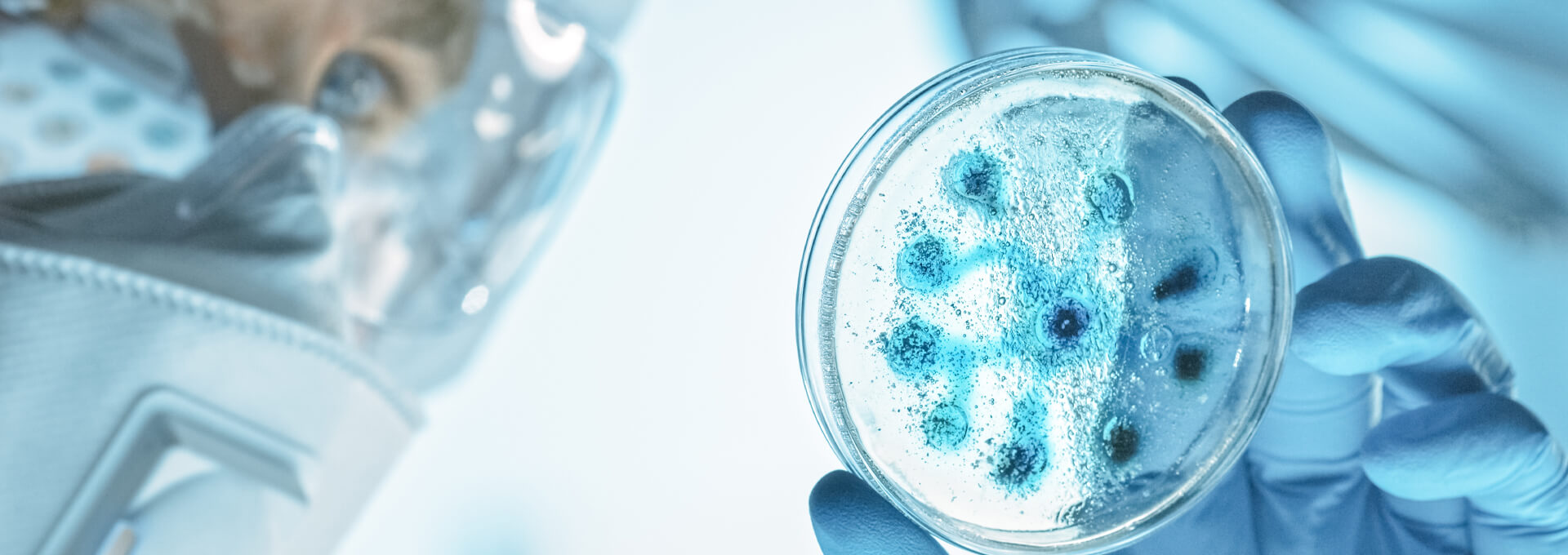 Microbiological Readiness During Sterile Drug Development