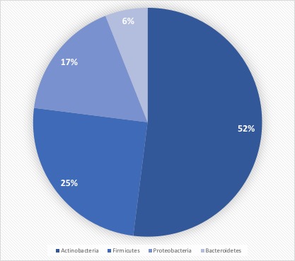 A blue shaded pie chart of 4 data sets: 52% Antinobacteria; 25% Firmacutes; 17% Proteobacteria; 6% Bacteriodetes