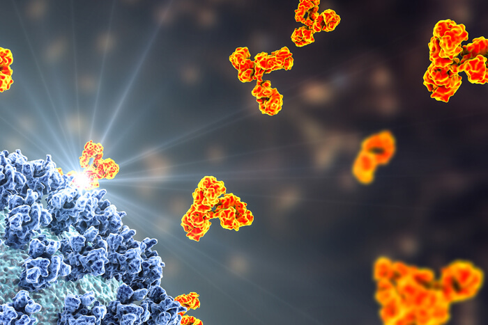 orange proteins advancing towards blue virus