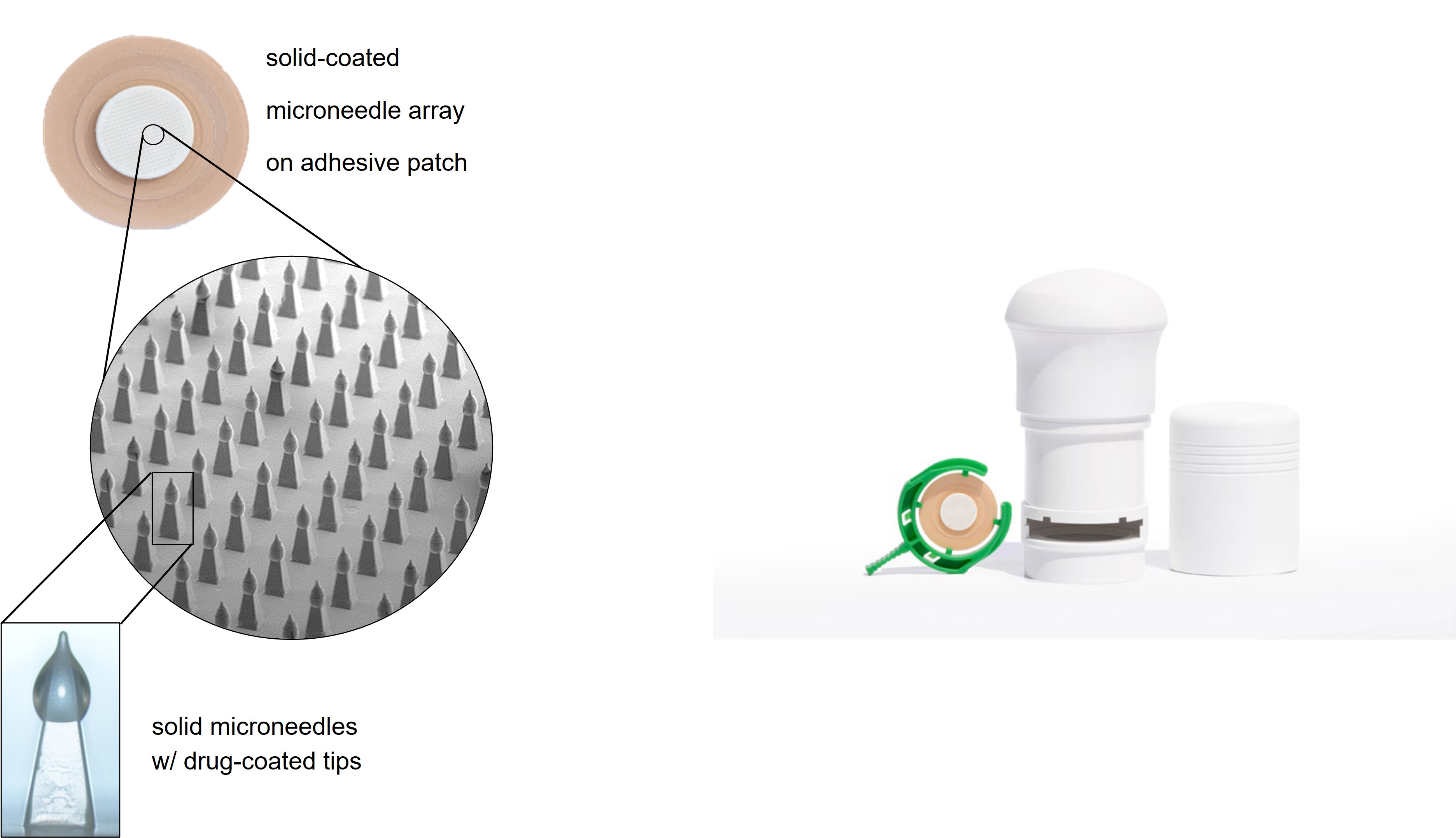 A 3D diagram of a coated MAPs with Re-Usable Applicator