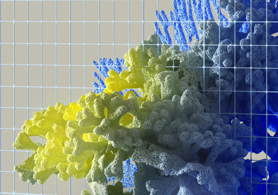 A 3D illustration of a yellow and blue coral growing through a grid