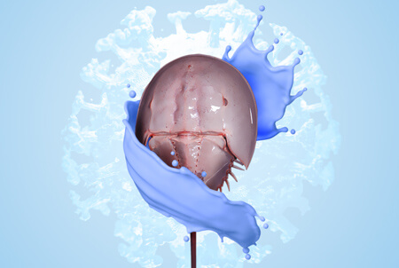 A horseshoe crab with a splash of blue blood/LAL wrapping around it. A COVID19 virus in the background.