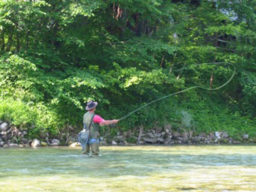 Candid photo taken at a distance of Richard Johnson, with his back to the camera, standing in a stream while casting a line and angler fishing