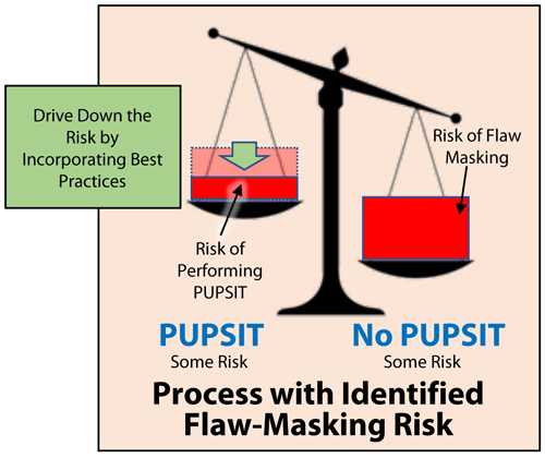 Process with Identified Flaw Masking Risk