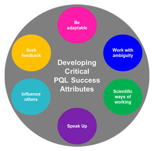 Developing Critical PQL Success Attributes