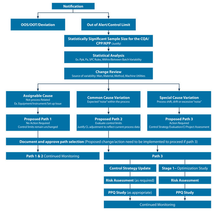 A decision tree showing 3 levels of pathways for CPV data