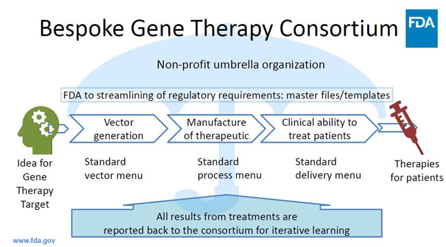 Bespoke Gene Therapy Consortium chart. Showing the steps of the gene therapy manufacturing process under the umbrella of a non-profit organization.
