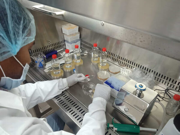 An attendee in a labcoat, hairnet, mask, and gloves sits at an isolation station with media and petri dishes