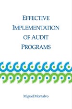 Effective Implementation of Audit Programs (single user digital version)